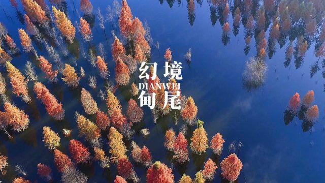 城邦争霸正式中文版