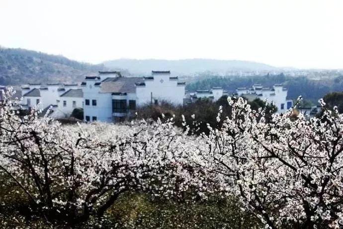 极限摩托车大赛