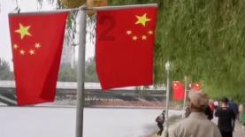 镜之边缘：催化剂